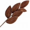 31" Mocha Brown Velvet Leaf Spray